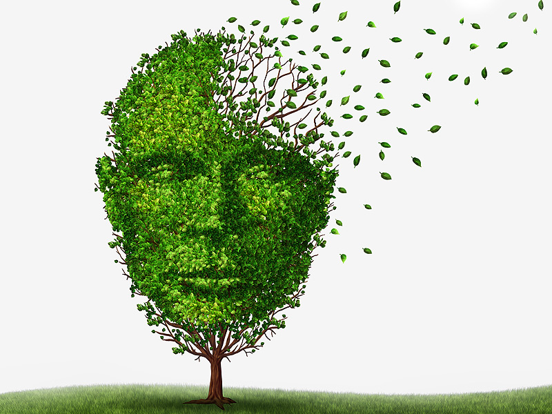 Face on a tree with leaves being blown away by wind.
