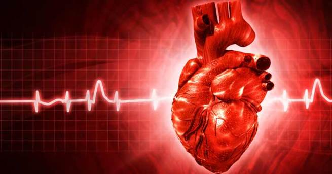 Human heart glowing red with cardiograph in background.