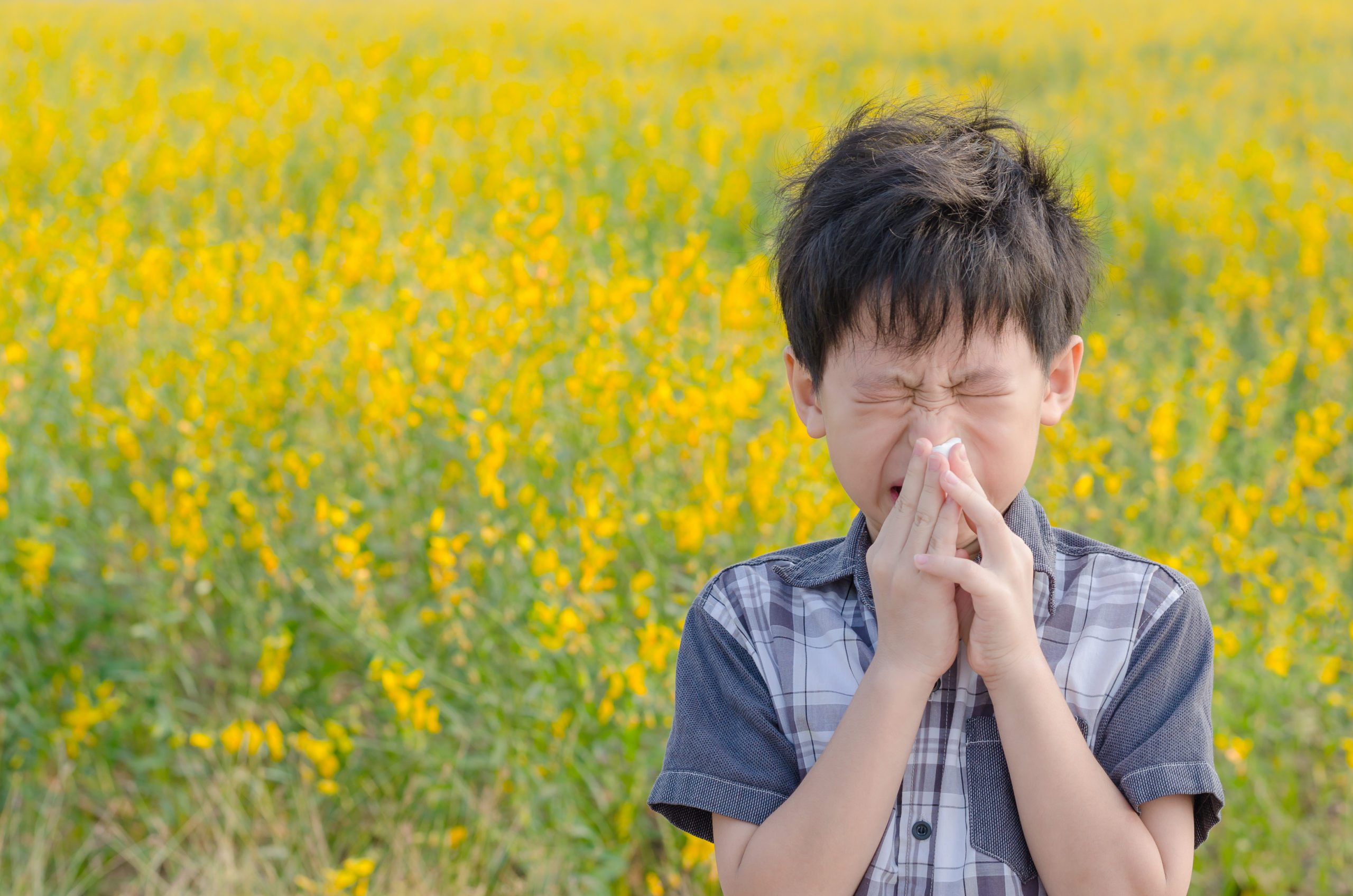Allergies and Hyperbaric therapy. Studies on HBOT and allergies, nasal inflammation, & pollen issues