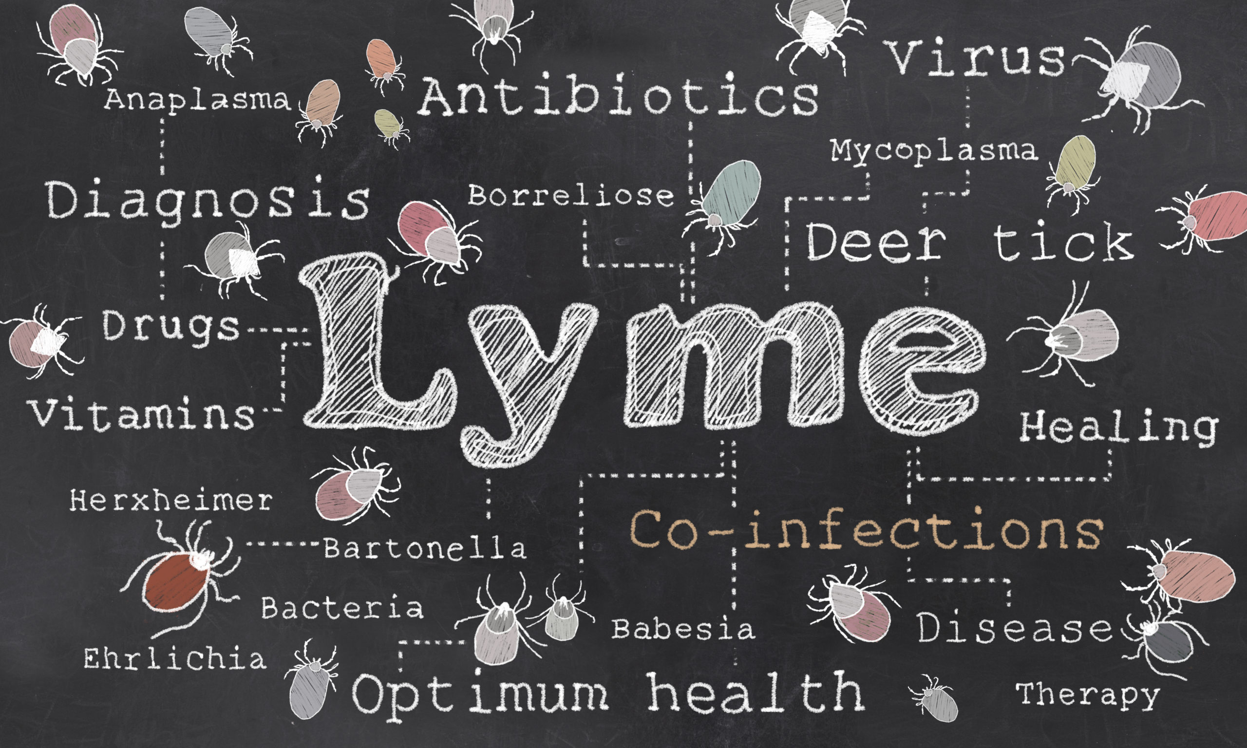 White text on black background. Disease, bacteria, antibiotics, Lyme and hyperbaric therapy (HBOT).